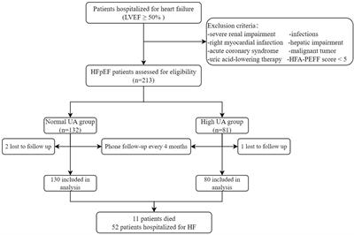 Serum uric acid: A risk factor for right ventricular dysfunction and prognosis in heart failure with preserved ejection fraction